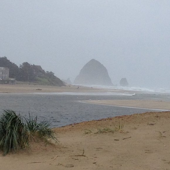 Meet your Posher, Teresa - Picture 1 of 1